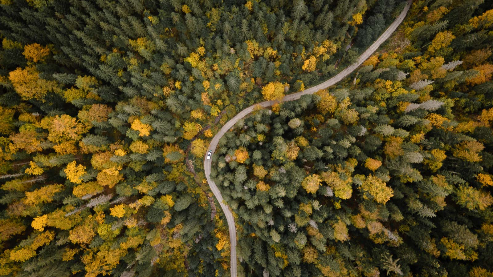 Die rumänischen Karpaten im Herbst.